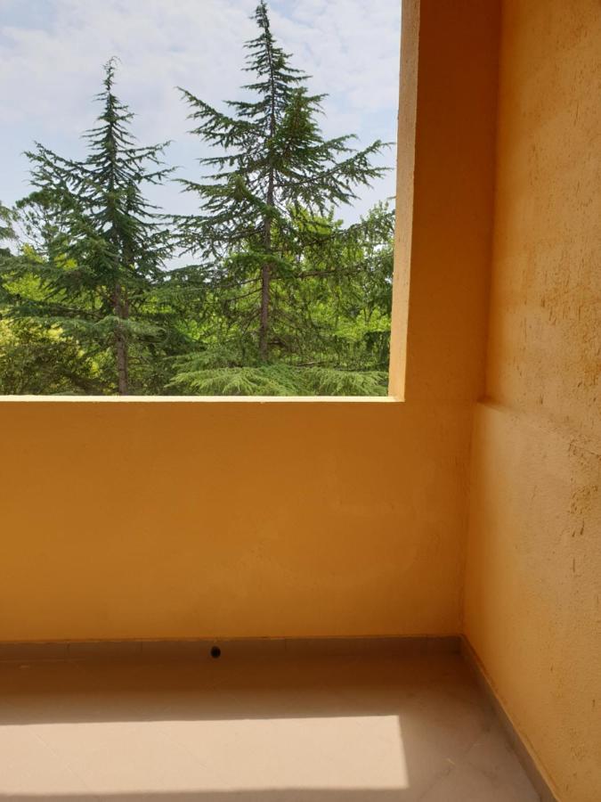 Парк-Отель Олимп Pizunda Exterior photo