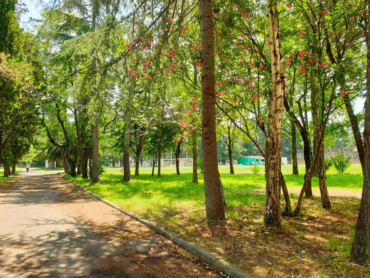 Парк-Отель Олимп Pizunda Exterior photo