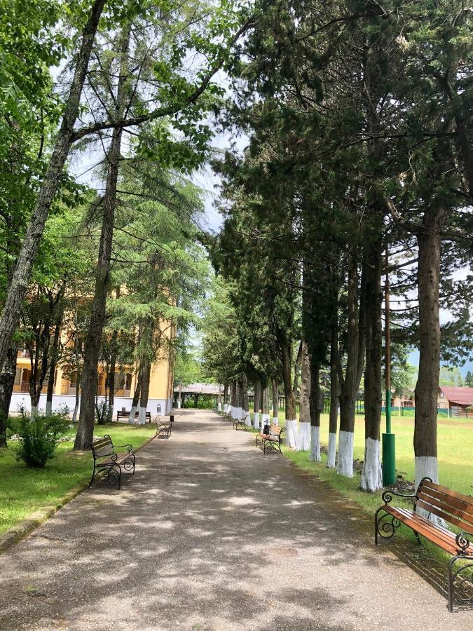 Парк-Отель Олимп Pizunda Exterior photo